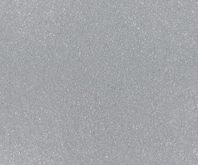 Expoglitter-0915-Silver