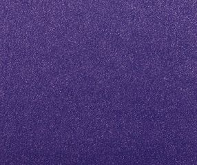 Expoglitter-0939-Violet