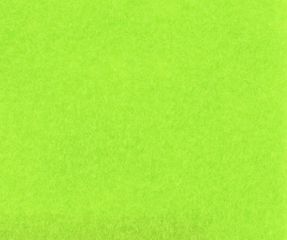 Exposhow-9591-Lime Green-Pantone368C